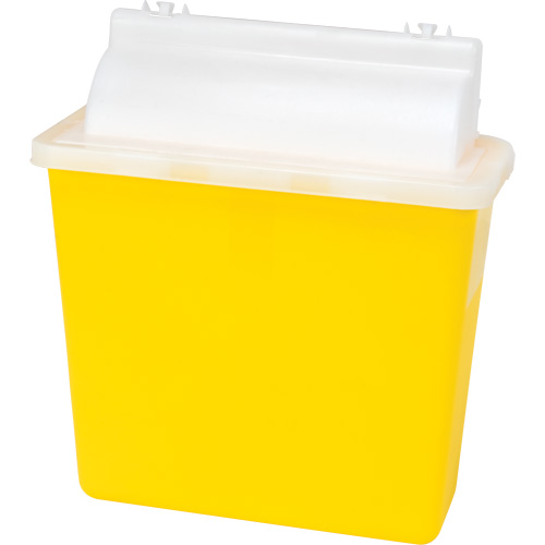 Sharps Container, 4.6L Capacity Groupe Belzile Dickner