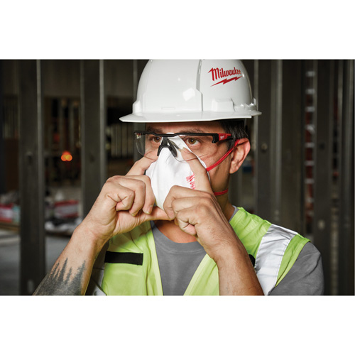 Disposable Respirator, N95, NIOSH Certified, One Size Groupe Belzile Dickner