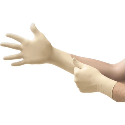 Gants d'examen MICROFLEX Ultra One, 10/9,5/T-Grand, Latex, 9,8 mils, Sans poudre, Naturel, Classe 2 Groupe Belzile Dickner