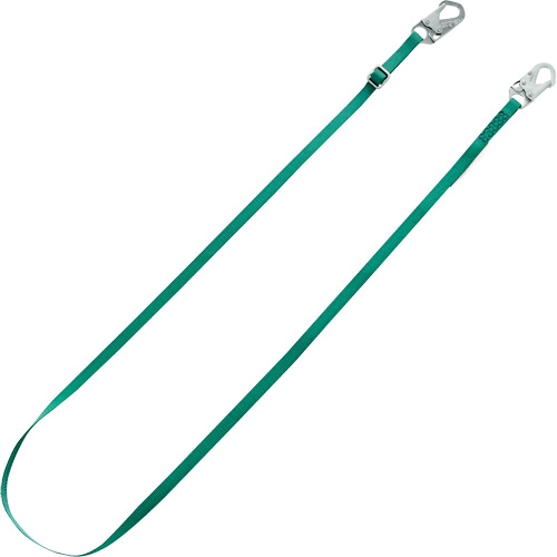 Longe de retenue Tieback V-Series, 10' Groupe Belzile Dickner