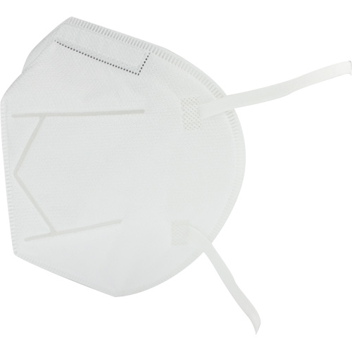 Disposable Respirator, N95, NIOSH Certified, One Size Groupe Belzile Dickner