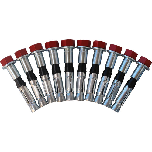 Jeu de boulons de rechange pour ancrages &agrave; anneau en D pour b&eacute;ton, Boulonn&eacute;, Usage Permanent/Temporaire Groupe Belzile Dickner