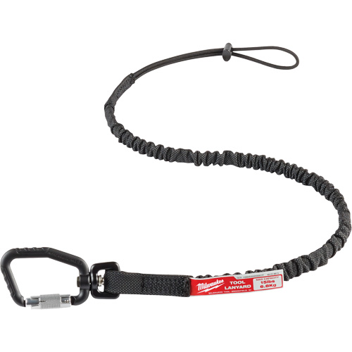 Locking Tool Lanyard, Bungee, Carabiner/Loop Groupe Belzile Dickner