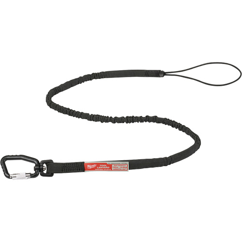 Longe verrouillable pour outils &agrave; port&eacute;e &eacute;tendue, Tendeur, Mousqueton/boucle Groupe Belzile Dickner
