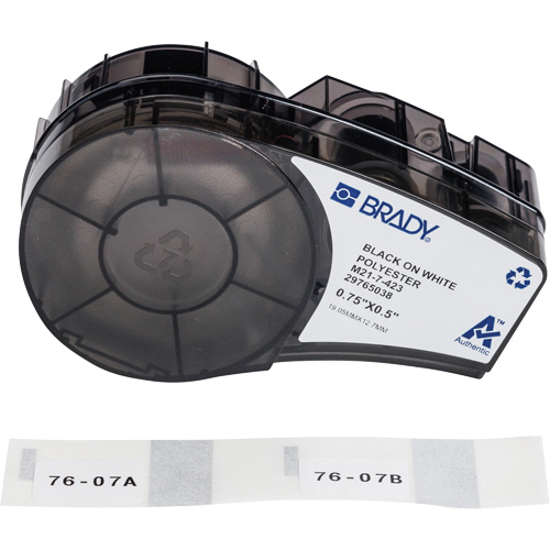 Harsh Environment Multi-Purpose Labels with Ribbon, Black Groupe Belzile Dickner