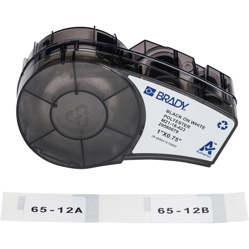 Harsh Environment Multi-Purpose Labels with Ribbon, Black Groupe Belzile Dickner