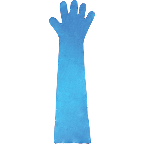 Gants jetables en latex, Gants jetables, Gants jetables en vinyle, Poly&eacute;thyl&egrave;ne, Sans poudre, Bleu Groupe Belzile Dickner