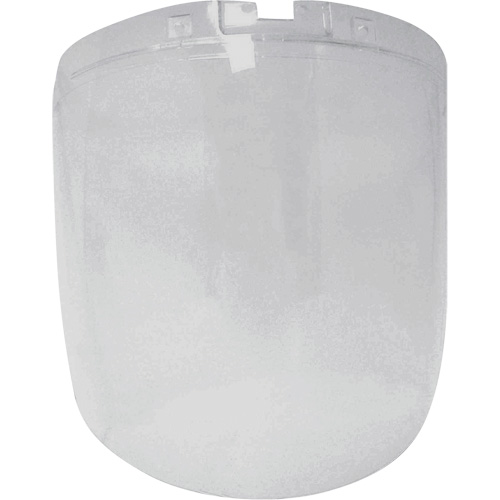 DP4 Series Replacement Anti-Fog Faceshield, Polycarbonate, Clear Tint Groupe Belzile Dickner