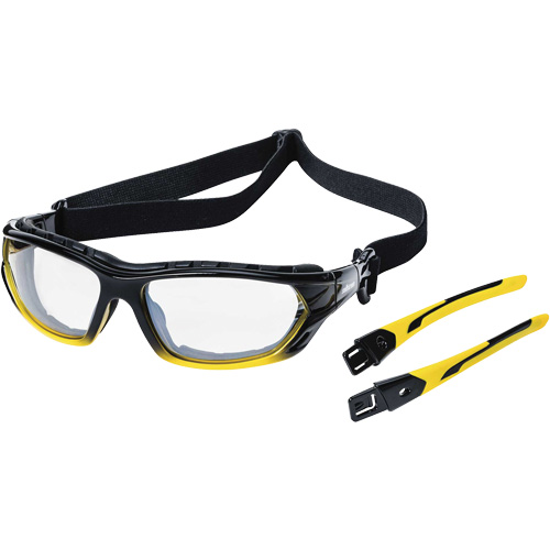 XPS530 Sealed Safety Glasses, Indoor/Outdoor Lens, Anti-Scratch, ANSI Z87+/Meets/Exceeds CSA Z94.3 Groupe Belzile Dickner