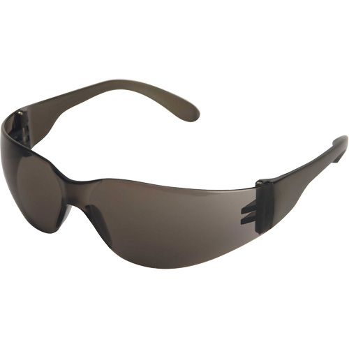 X300 Safety Glasses, Smoke Lens, Anti-Scratch, ANSI Z87+/Meets/Exceeds CSA Z94.3 Groupe Belzile Dickner
