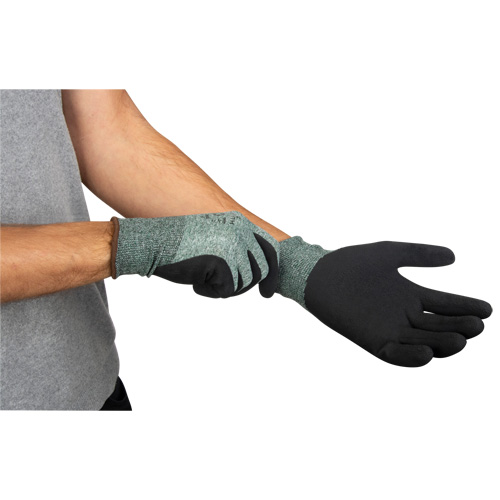 Gants &eacute;cologiques enduits &agrave; prise cr&ecirc;p&eacute;e, 9, R&ecirc;vetement Mousse de latex, Calibre 15, Enveloppe en Nylon/rPET Groupe Belzile Dickner