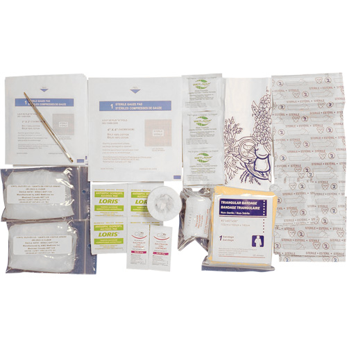 Shield First Aid Kit Refill, Meets CSA Z1220-17 Type 1 Personal, Personal (1 Worker) Groupe Belzile Dickner