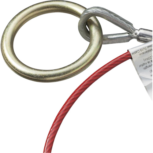 AS-21210-6 6' Cable Anchor with Snap Hook & O-Ring, Sling, Temporary Use Groupe Belzile Dickner