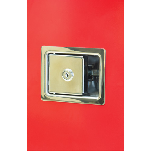 Armoires ext&eacute;rieures robustes pour extincteurs, 14" la x 28" h x 10" p Groupe Belzile Dickner