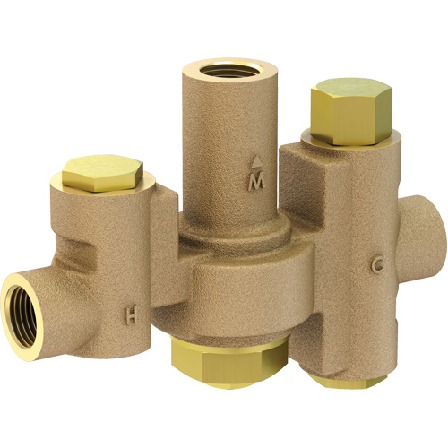 Mid-Capacity Thermostatic Mixing Valve for Individual Eye/Face Wash Stations, 2 - 35.1 GPM Groupe Belzile Dickner