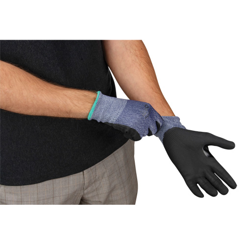 Cut-Resistant Gloves, Size Small, 15 Gauge, Foam Nitrile Coated, HPPE Shell, ASTM ANSI Level A3 Groupe Belzile Dickner