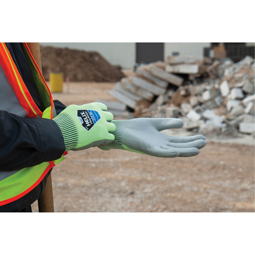Helix&reg; 2057 Abrasion- & Cut-Resistant Gloves, Size 6/X-Small, 13 Gauge, Polyurethane Coated, HPPE Shell, ASTM ANSI Level A4/EN 388 Level C Groupe Belzile Dickner