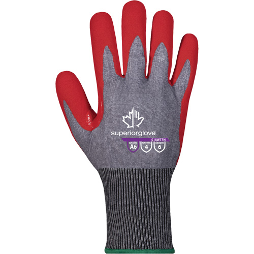 Waterproof Cut-Resistant Gloves, Size 6, 6 Gauge, Foam Nitrile Coated, TenActiv Shell, ASTM ANSI Level A4 Groupe Belzile Dickner