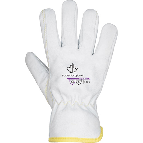 Endura&reg; 378WGKGTL Cut-Resistant Gloves, Size X-Small, Goatskin/TenActiv/Thinsulate Shell, ASTM ANSI Level A6 Groupe Belzile Dickner