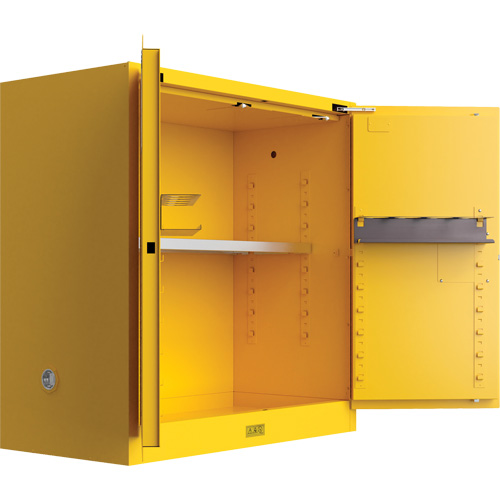 Utili-Guard+ Flammable Safety Cabinet, 30 gal., 1 Door, 43" W x 44" H x 22" D Groupe Belzile Dickner
