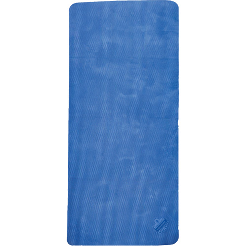 Chill-Its 6601 Economy Evaporative Cooling Towel, Blue Groupe Belzile Dickner