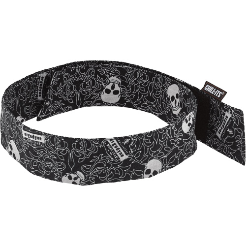 Chill-Its 6705 Cooling Headband with Polymers and Hook & Loop Closure, Multi-Colour Groupe Belzile Dickner