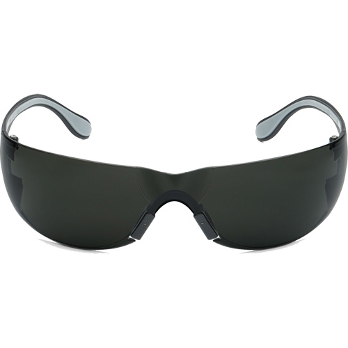 Lunettes de s&eacute;curit&eacute; Adapt Lite, Lentille Fum&eacute;e, Antibu&eacute;e/Anti-&eacute;gratignures, ANSI Z87+/R&eacute;pond ou surpasse la norme CSA Z94.3 Groupe Belzile Dickner