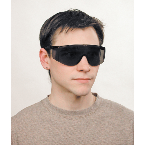 Lunettes de s&eacute;curit&eacute; Tacoma, Lentille Grise/fum&eacute;e, Anti-&eacute;gratignures, ANSI Z87+ Groupe Belzile Dickner