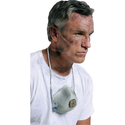 2700 Particulate Respirators, N95, NIOSH Certified, Large/Medium Groupe Belzile Dickner