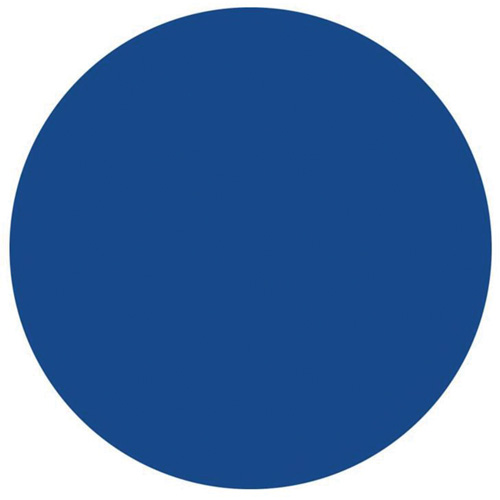 Round Write-On Labels, Circle, 1.5" L x 1.5" W, Blue Groupe Belzile Dickner