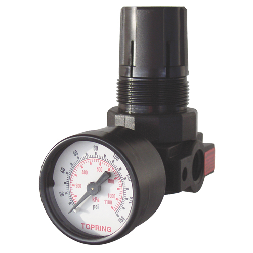 Mini Regulators, 1/4" NPT, 165 PSI Max. PSI, Modular Groupe Belzile Dickner