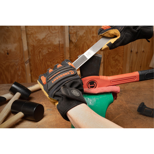 4-in-Hand&reg; Rasp & File Groupe Belzile Dickner