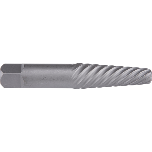 Extracteur de vis, #1, Pour vis de 3/16" - 1/4", Acier au chrome Groupe Belzile Dickner