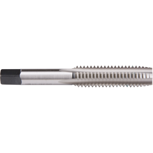 Plug Hand Tap, High Speed Steel, 1-64 Thread Groupe Belzile Dickner