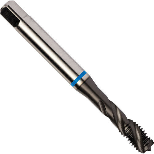 Blue Shark Spiral Flute Tap, High Speed Cobalt, 1/4"-28 Thread, 3.15" L Groupe Belzile Dickner