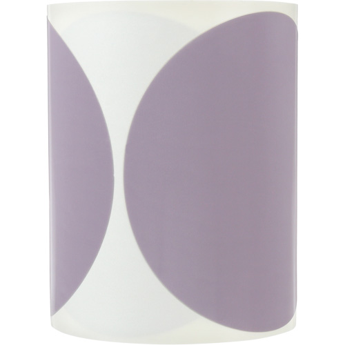 Rouleau de disques &agrave; pellicule Trizact Finesse-it 466LA, 6" dia., Grain A7, Carbure de silicium Groupe Belzile Dickner