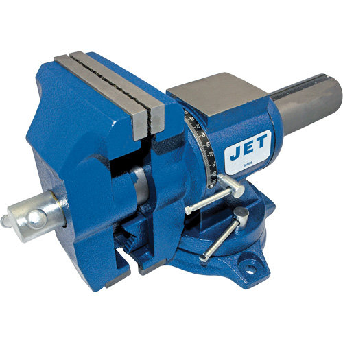 &eacute;tau polyvalent pour usage intense, Largeur des m&acirc;choires 5", Profondeur de la gorge 3" Groupe Belzile Dickner