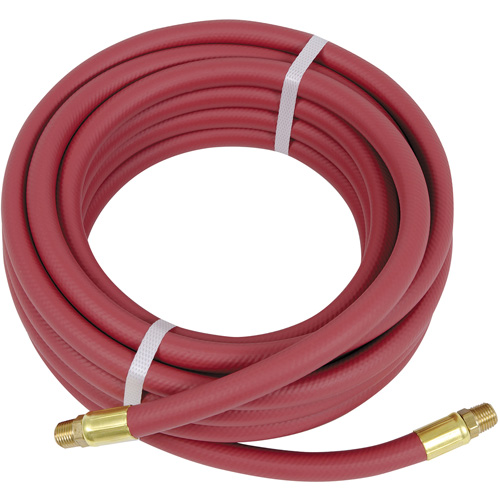 Boyau pneumatique robuste, Air, PVC, 3/8" dia. x 25', 300 psi, 3/8" NPT Groupe Belzile Dickner