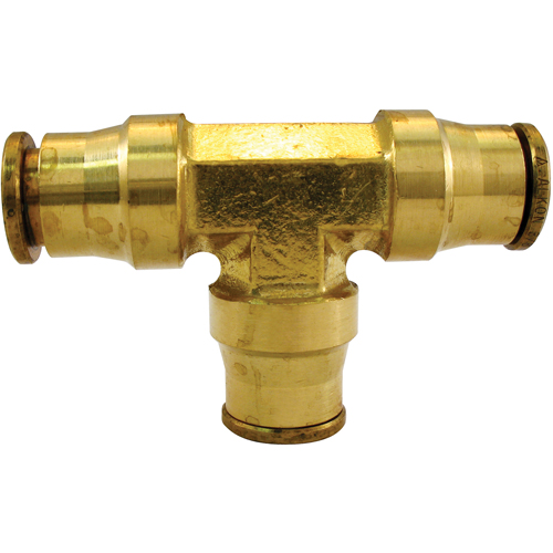 P.T.C. Tees Groupe Belzile Dickner