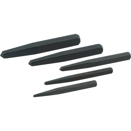 Straight Type Extractor Set, 5 Pieces Groupe Belzile Dickner