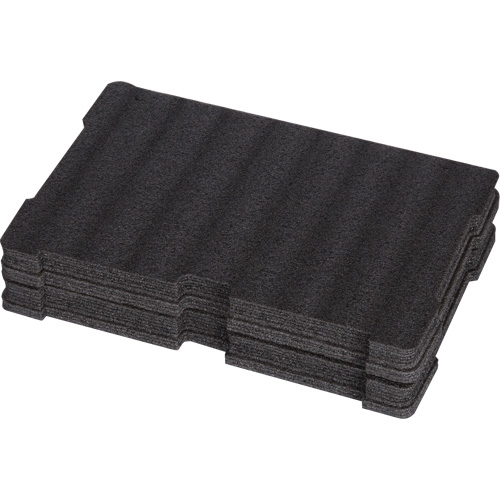 Customizable Foam Insert Groupe Belzile Dickner