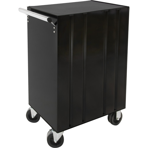 Industrial Tool Cart, 3 Drawers, 29-4/5" W x 21-1/5" D x 38-4/5" H, Black Groupe Belzile Dickner