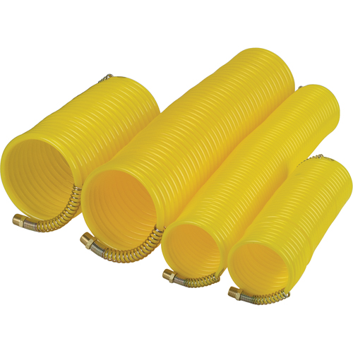 Nylon Coil Air Hose With Fittings, Air, 1/4" ID x 25' L, Nylon, 200 PSI at 23°C Groupe Belzile Dickner