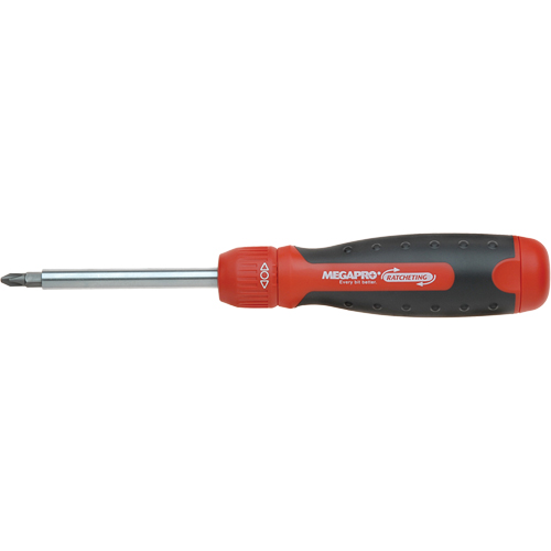 13-in-1 Ratcheting Driver, Cushion Grip Handle Groupe Belzile Dickner