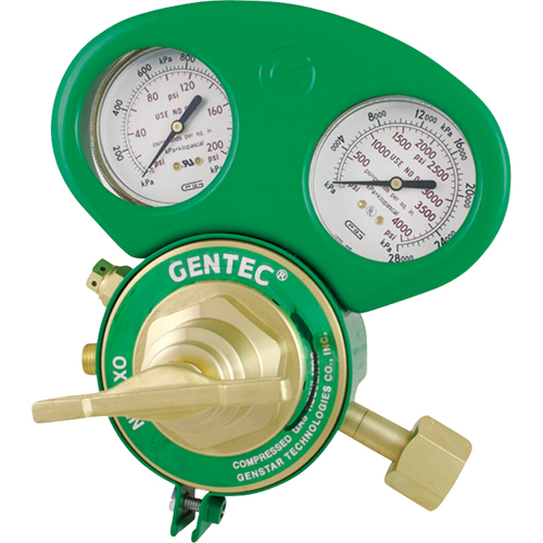 153 Series - Gauge Protectors Groupe Belzile Dickner