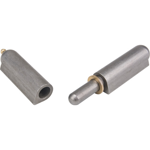 Weld-On Hinge, 0.787" Dia. x 5.906" L, Mild Steel w/Fixed Steel Pin Groupe Belzile Dickner