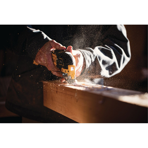 Max XR&reg; Brushless 3-Speed Oscillating Multi-Tool (Tool Only), 20 V, Lithium-Ion Groupe Belzile Dickner
