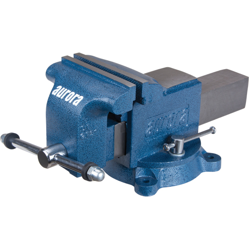 Heavy-Duty Bench Vise, 6" Jaw Width Groupe Belzile Dickner