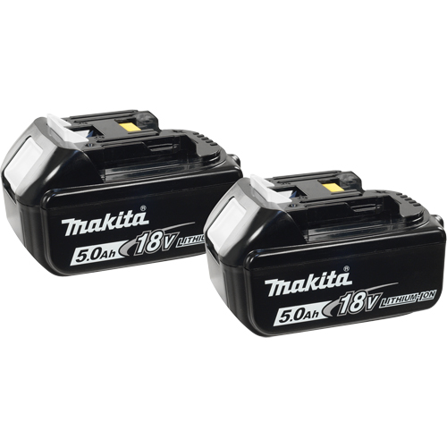 Blocs-piles, Lithium-ion, 18 V, 5,0 A Groupe Belzile Dickner