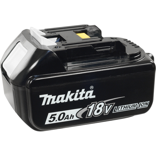 Battery, Lithium-Ion, 18 V, 5.0 A Groupe Belzile Dickner